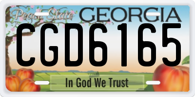 GA license plate CGD6165