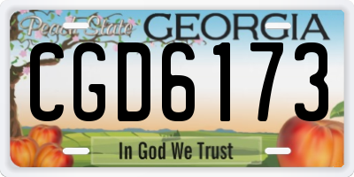 GA license plate CGD6173