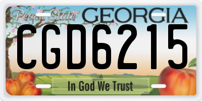GA license plate CGD6215