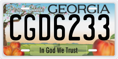 GA license plate CGD6233