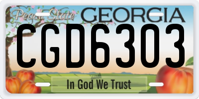 GA license plate CGD6303