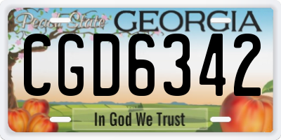 GA license plate CGD6342