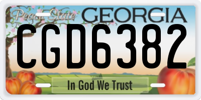 GA license plate CGD6382