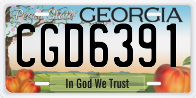 GA license plate CGD6391