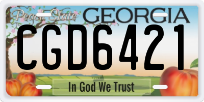 GA license plate CGD6421