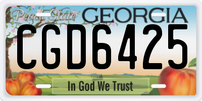 GA license plate CGD6425