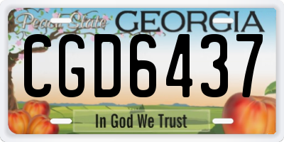 GA license plate CGD6437