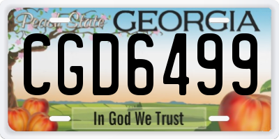 GA license plate CGD6499