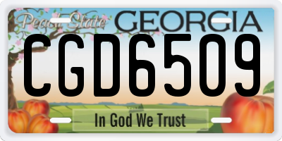 GA license plate CGD6509