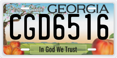 GA license plate CGD6516