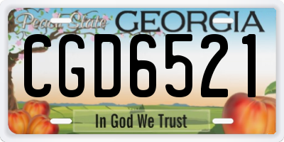 GA license plate CGD6521