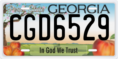 GA license plate CGD6529