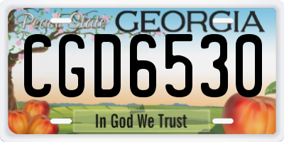 GA license plate CGD6530