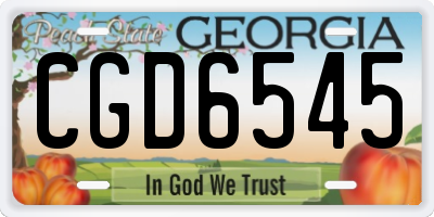 GA license plate CGD6545