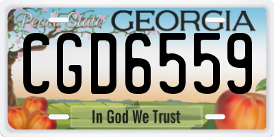 GA license plate CGD6559