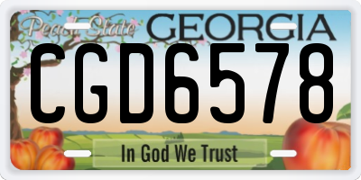 GA license plate CGD6578