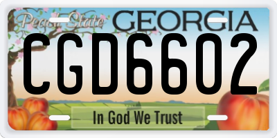 GA license plate CGD6602