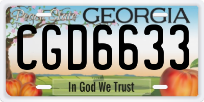 GA license plate CGD6633