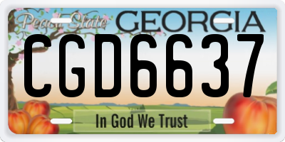 GA license plate CGD6637