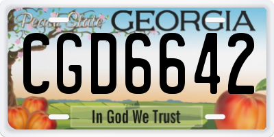 GA license plate CGD6642