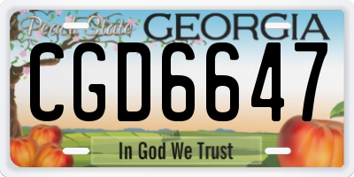 GA license plate CGD6647