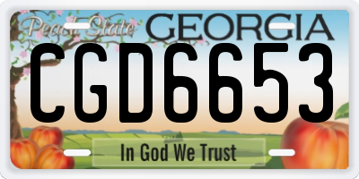 GA license plate CGD6653