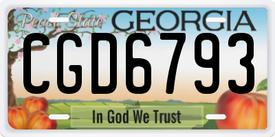 GA license plate CGD6793