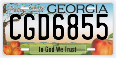 GA license plate CGD6855