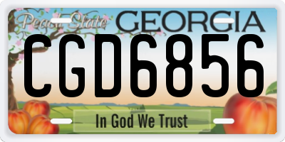 GA license plate CGD6856