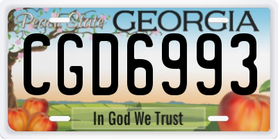 GA license plate CGD6993