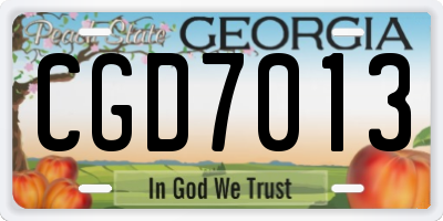 GA license plate CGD7013