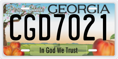 GA license plate CGD7021