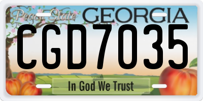 GA license plate CGD7035