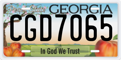 GA license plate CGD7065