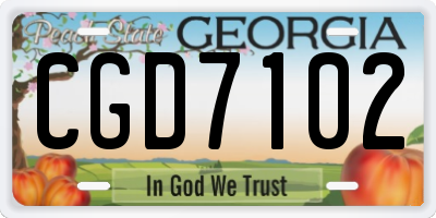 GA license plate CGD7102