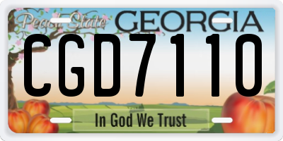 GA license plate CGD7110