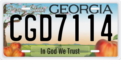 GA license plate CGD7114
