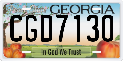GA license plate CGD7130
