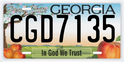 GA license plate CGD7135