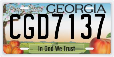 GA license plate CGD7137