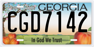 GA license plate CGD7142