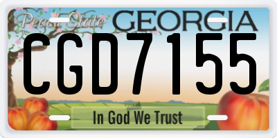 GA license plate CGD7155