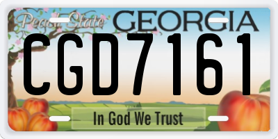 GA license plate CGD7161