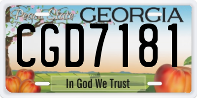 GA license plate CGD7181