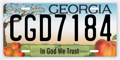 GA license plate CGD7184