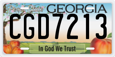GA license plate CGD7213