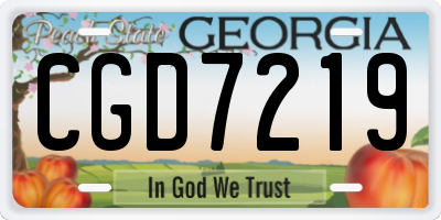 GA license plate CGD7219