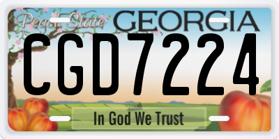GA license plate CGD7224