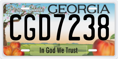 GA license plate CGD7238