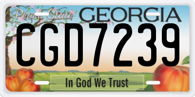 GA license plate CGD7239